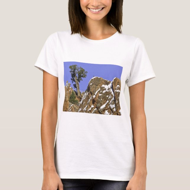 Camiseta Pinho de Bristlecone (Frente)