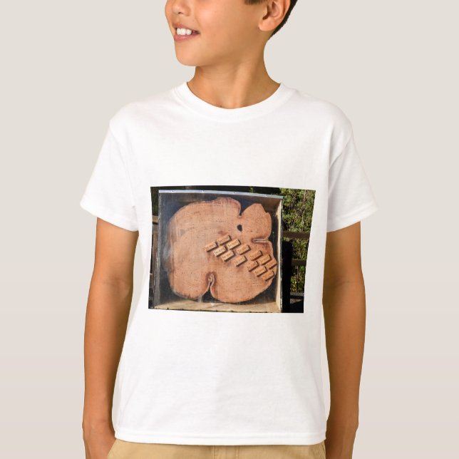 CAMISETA PINHO TASMÂNIA AUSTRÁLIA DE HOUN (Frente)