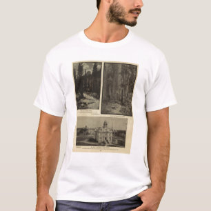 Camiseta Pinhos gigantes plaza da floresta de Oregon,