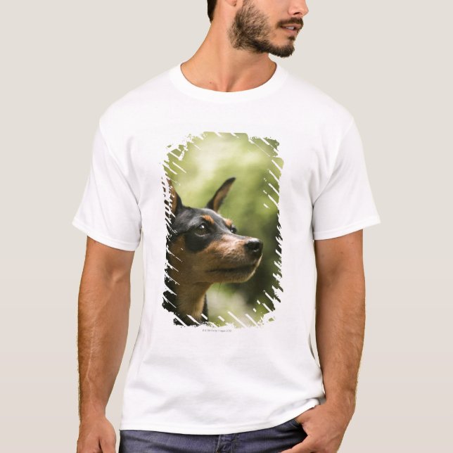 Camiseta Pinscher diminuto (Minuto-Pin) 2 (Frente)