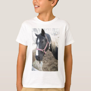 Camiseta Pintar Pinto Cavalo