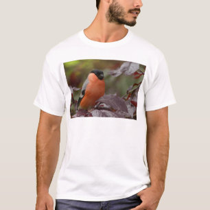 Camiseta Pintarroxo-real