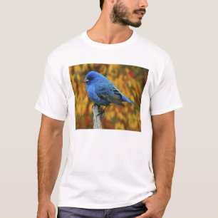 Camiseta Pintassilgo Azul-Macho, Passerina cyanea