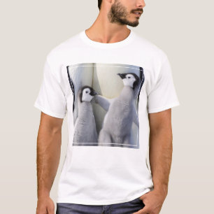 Camiseta Pintinho do pinguim de imperador