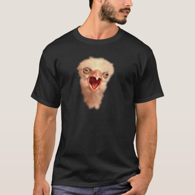 Camiseta Pintinho Falcão Antigo (Frente)