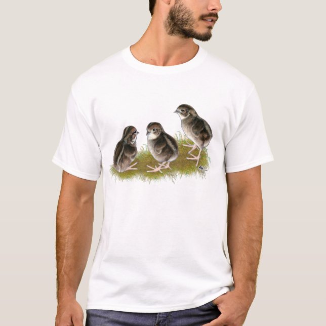 Camiseta Pintinhos Coturnix Quail (Frente)