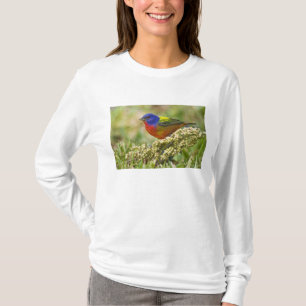 Camiseta Pintor