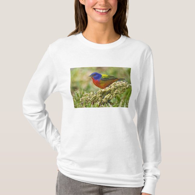 Camiseta Pintor (Frente)