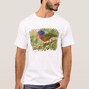 Camiseta Pintor Verdadeiro