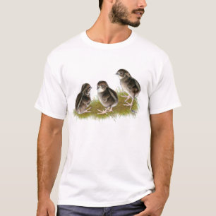 Camiseta Pintos de Codorniz Coturnix