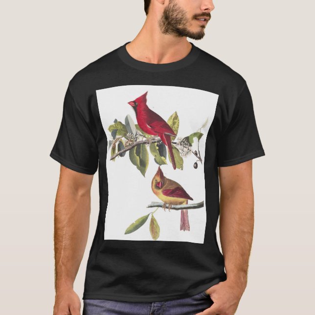 Camiseta Pintura Cardinal do Norte Audubon Vintage (Frente)