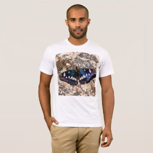 Camiseta Pintura da Borboleta Azul Almirante Branco do Sul