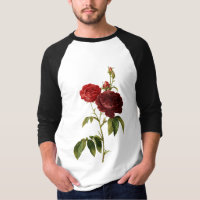 Pintura vermelho escuro dos rosas do vintage