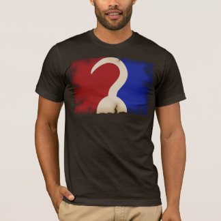 Camiseta Pirata profissional