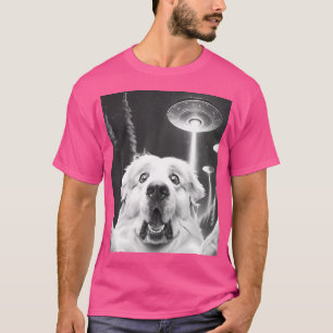 Camiseta Pirenéus Excelentes Engraçados Alienígena Ufo Toma