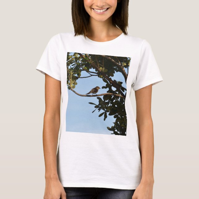 Camiseta Pirilampo-comum (Frente)