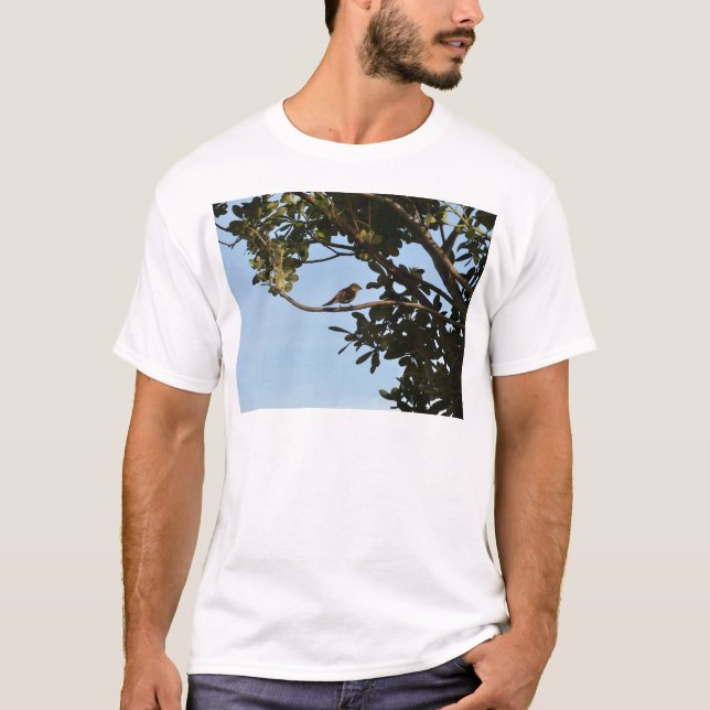 Camiseta Pirilampo-comum (Frente)