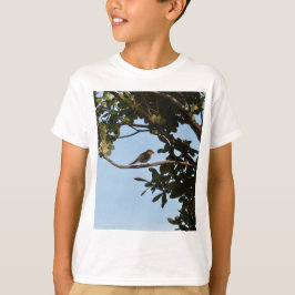 Camiseta Pirilampo-comum