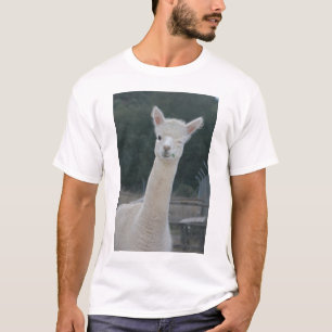 Camiseta Pisc de Rafa