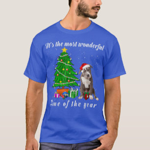 Camiseta Pit Bull Dog É o momento mais maravilhoso do Y