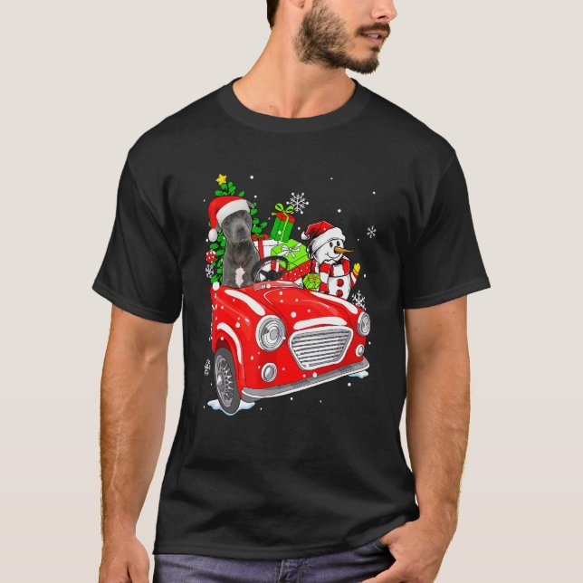 Camiseta Pitbull Dog Santa Hat Red Car Christmas (Frente)