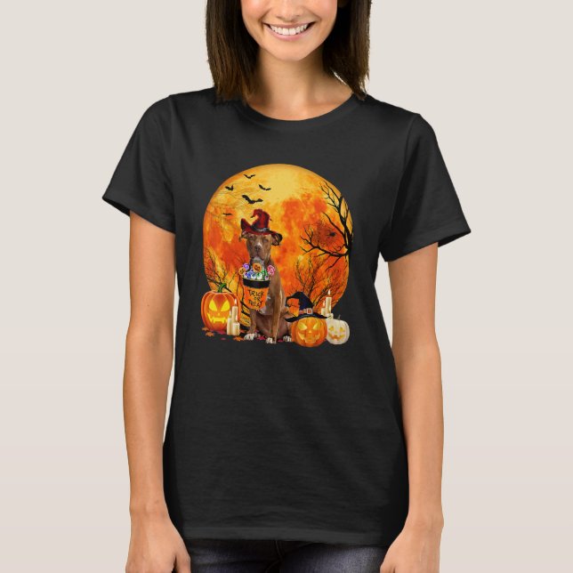 Camiseta Pitbull Dog Witch Pumpkin Halloween Costume (Frente)