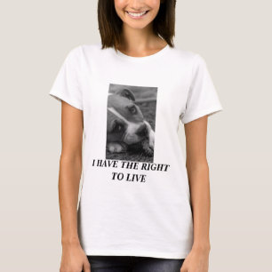 Camiseta Pitbull… EU TENHO o DIREITO DE VIVER