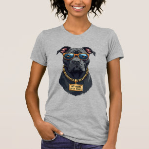 Camiseta Pitbull Legal em Óculos de Sol com Corrente de Our