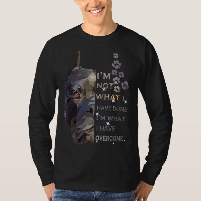 Camiseta Pitbull Sou O Que Superei (Frente)