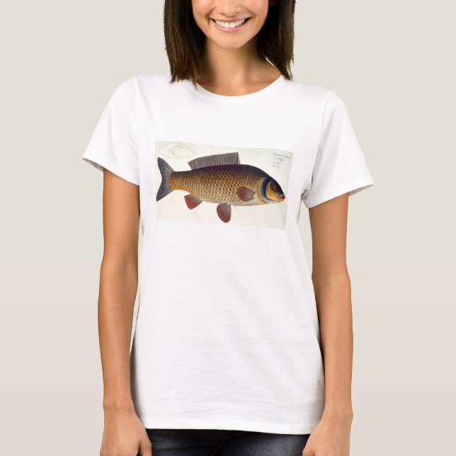 Camiseta Placa de carpa (Cyprinus Carpio) XVI de Ichthyolog (Frente)