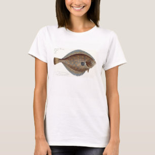 Camiseta Placa de solha (Pleuronectes Platessa) XLII da 'Ic