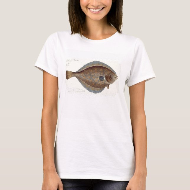 Camiseta Placa de solha (Pleuronectes Platessa) XLII da 'Ic (Frente)