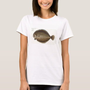 Camiseta Placa XLIX do Turbot (Pleuronectes Maximus) 'de
