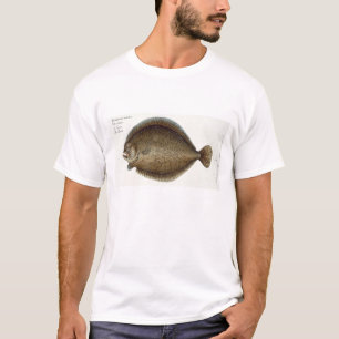 Camiseta Placa XLIX do Turbot (Pleuronectes Maximus) 'de