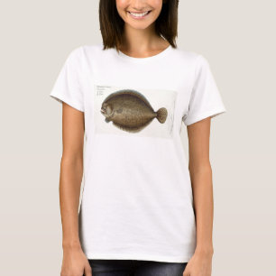 Camiseta Placa XLIX do Turbot (Pleuronectes Maximus) 'de