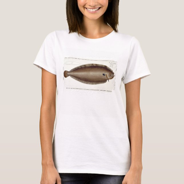 Camiseta Placa XLV de Dover Sole (Solea Solaea) de Ichtiol (Frente)