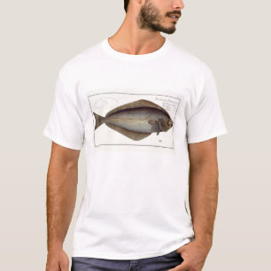 Camiseta Placa XLVII franco do alabote (Hippoglossus do