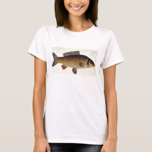 Camiseta Placa XVI da carpa (Cyprinus Carpio) 'de