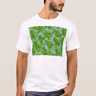 Camiseta Plagiomnium afina pilhas da planta com