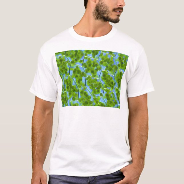 Camiseta Plagiomnium afina pilhas da planta com (Frente)