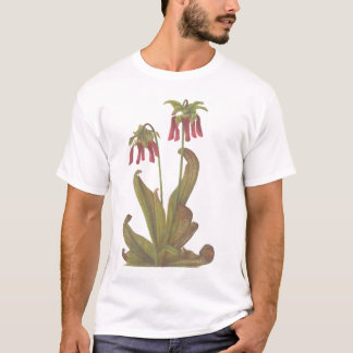 Camiseta Planta carnívora - psittacina do Sarracenia
