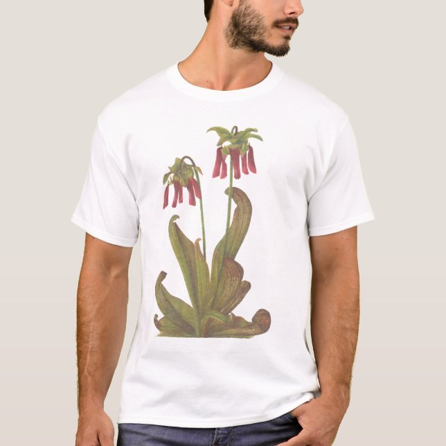 Camiseta Planta carnívora - psittacina do Sarracenia (Frente)