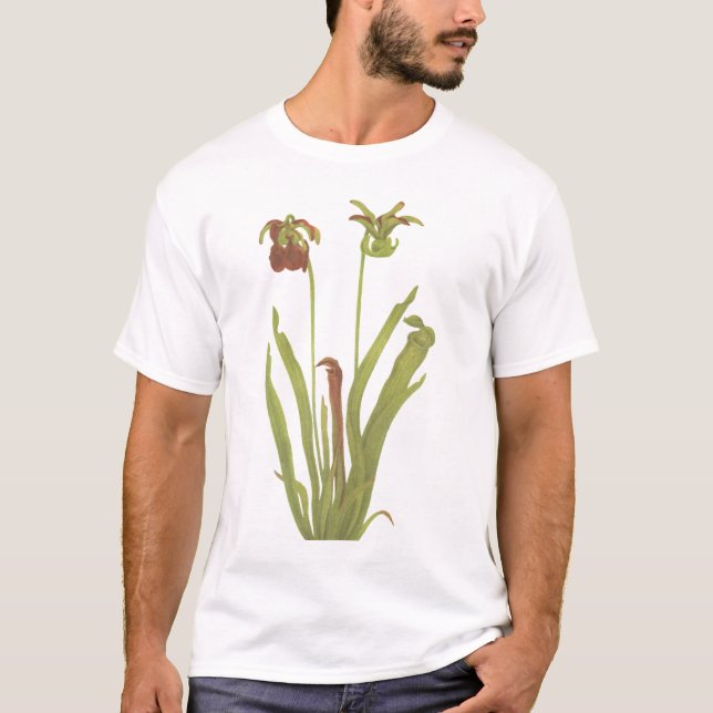 Camiseta Planta carnívora - rubra do Sarracenia (Frente)