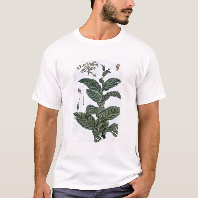 Camiseta Planta de tabaco, placa 7, 'da coleção Precieuse (Frente)
