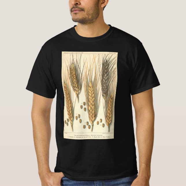 Camiseta Planta de Trigo Resistente à Seca, Agricultura Vin (Frente)