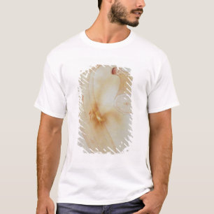 Camiseta Plantain do chifre