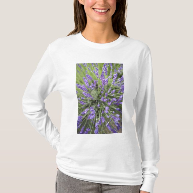 Camiseta Plantas de lavanda (Frente)