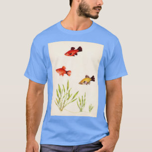 Camiseta Platy Xiphophorus maculatus