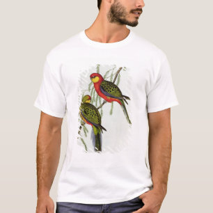 Camiseta Platycercus Icterotis