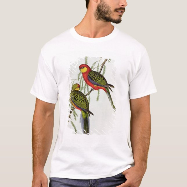Camiseta Platycercus Icterotis (Frente)
